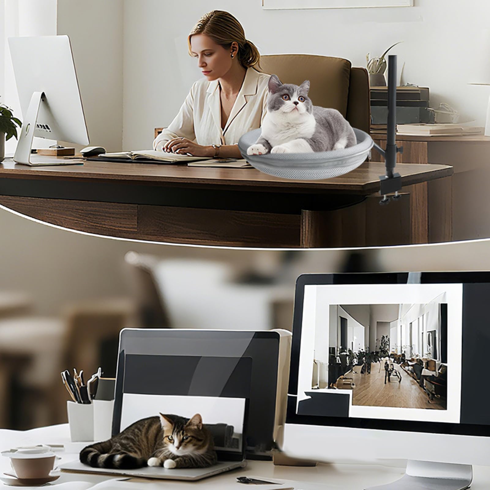Panier Pour Chat De Bureau Perchoir Amovible Pour Animal De Compagnie