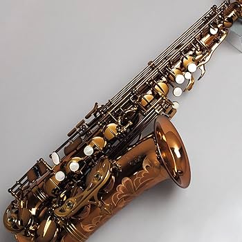 Amazon | Chateau Handmade Series アルトサックス レッドブラス(92