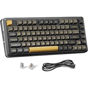 Redragon K738 Wireless Mechanical Keyboard, Gasket Mounted RGB Gaming Keyboard, 3-Mode (2.4G/BT/USB), Pre-lubed Linear Switches, 75% Layout, 82 Keys Hot Swappable for PC/Mac - Black Gold