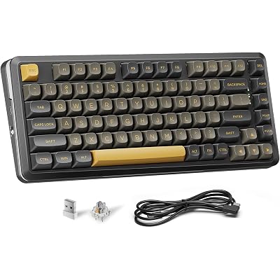 Redragon K738 Wireless Mechanical Keyboard, Gasket Mounted RGB Gaming Keyboard, 3-Mode (2.4G/BT/USB), Pre-lubed Linear Switches, 75% Layout, 82 Keys Hot Swappable for PC/Mac - Black Gold