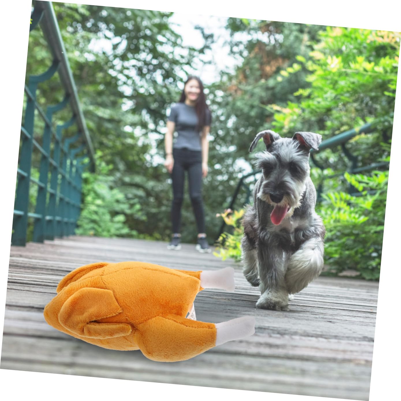 minkissy Juguete de pavo para mascotas de 4 piezas, resistente al desgaste, juguete interactivo para masticar, juguete interactivo para gatos, juguete de sonido para apretar, juguete para mascotas,