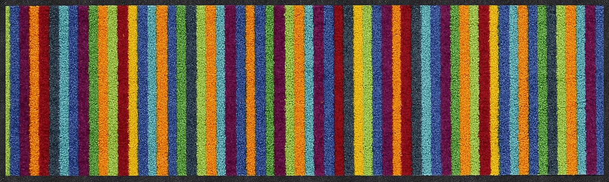 Salonloewe Minimatte Lund bunt I Schmutzfangmatte & Fußabtreter für Innen 30 x 100 cm