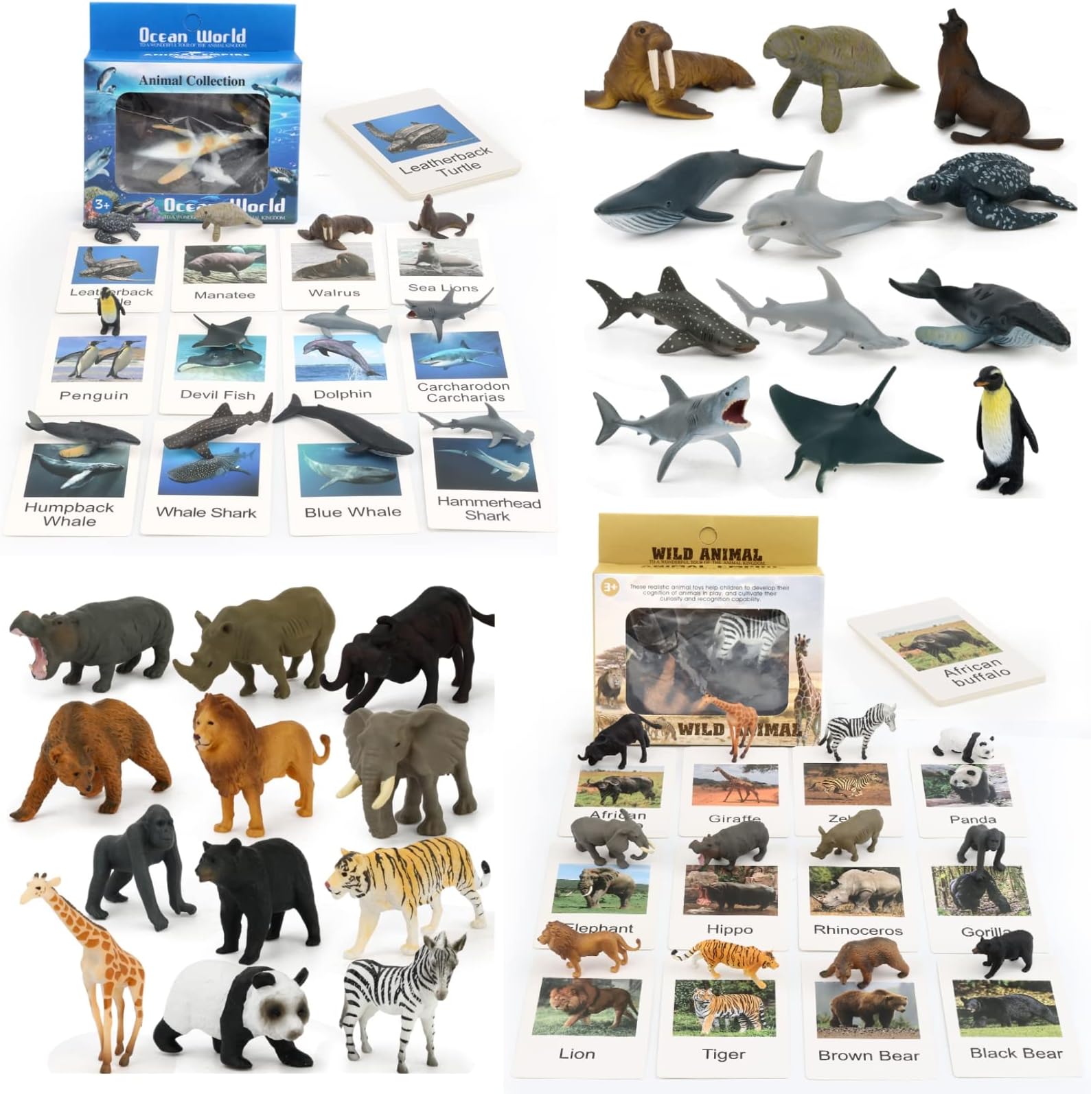 Zoo Animal with Flash Cards