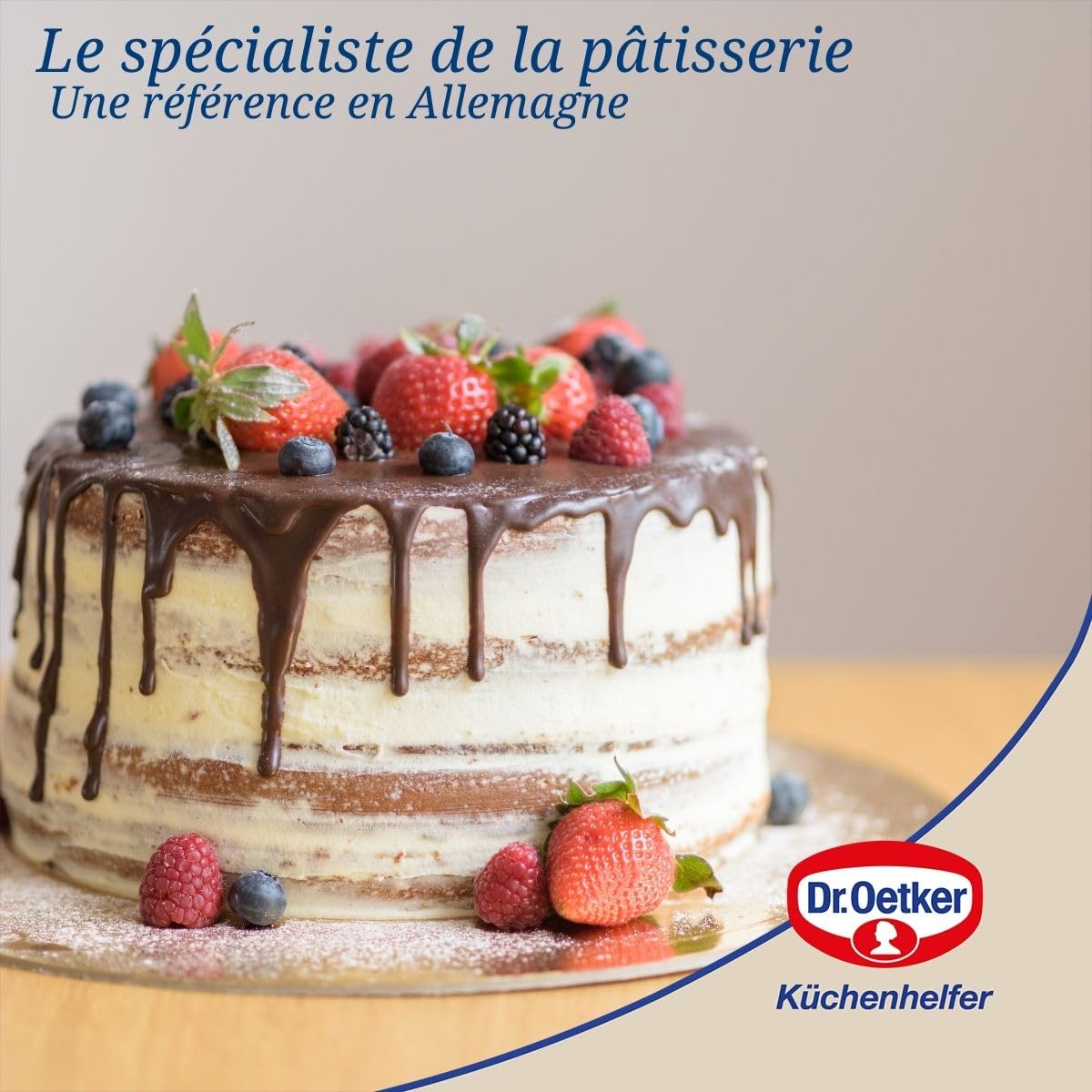 Dr. Oetker 1123 Moule à charnière rectangulaire couvercle de transport, plat a lasagne rectangulaire, moule à gâteau rectangle, plat au four, plat lasagne, Acier, Plastique, 42 x 29 x 7 cm