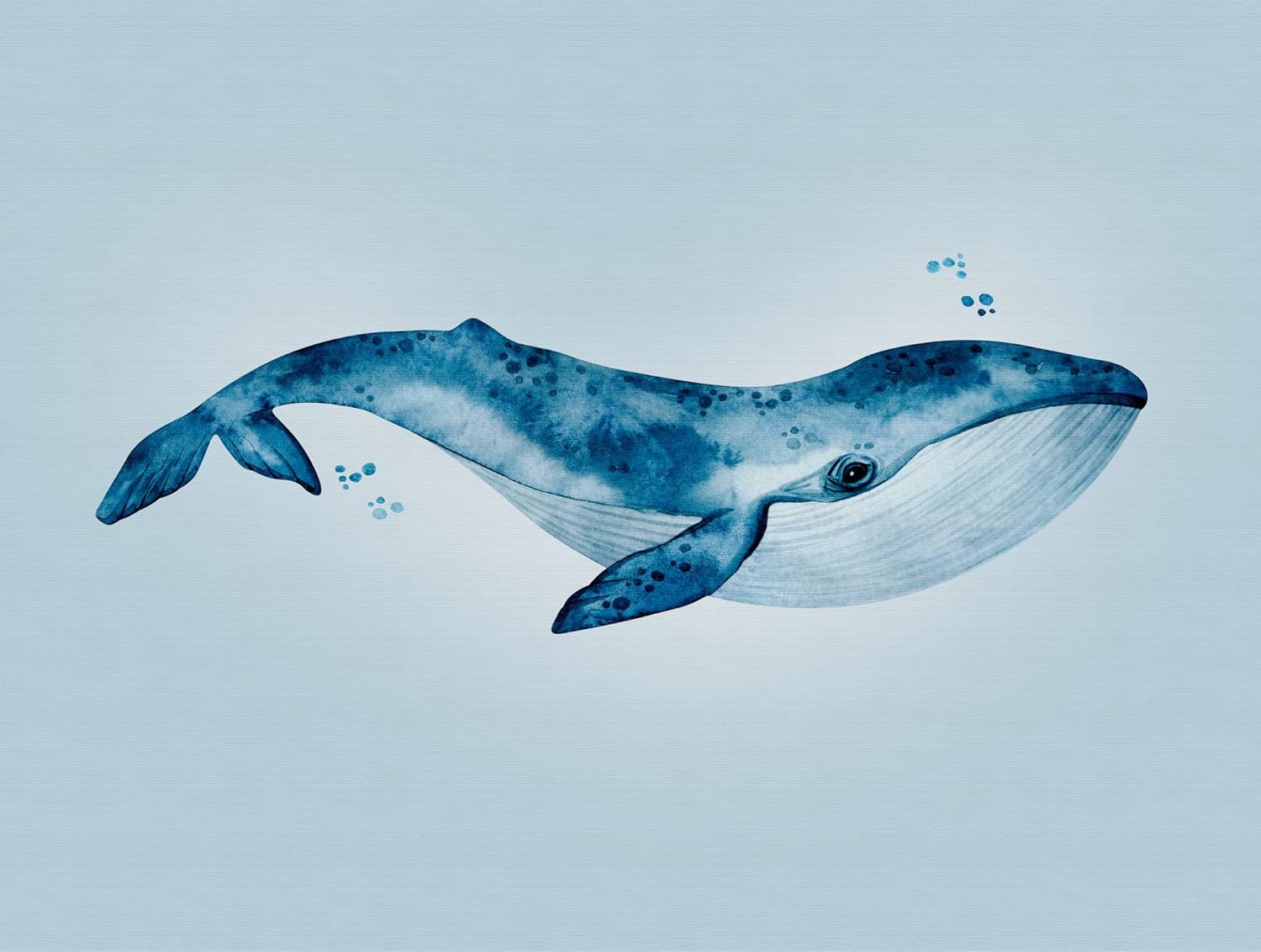 Livingwalls Fish The Wall Non-Woven Wallpaper 3.71 m x 2.80 m Blue Made in Germany 383001 383001