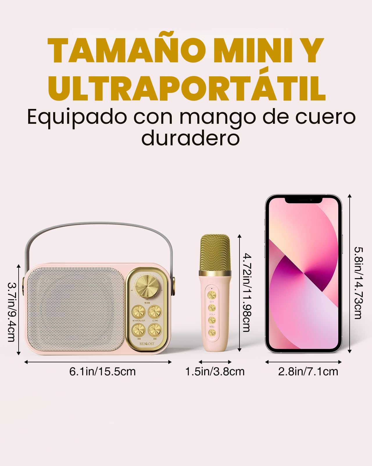 Karaoke Profesional con 2 Micrófonos Inalámbricos, Bluetooth Altavoz Karaoke para Niños, Portátil Máquina de Karaoke Soporte Tarjeta TF, AUX, Disco U, Ideal para Boda, Fiesta, Cumpleaños
