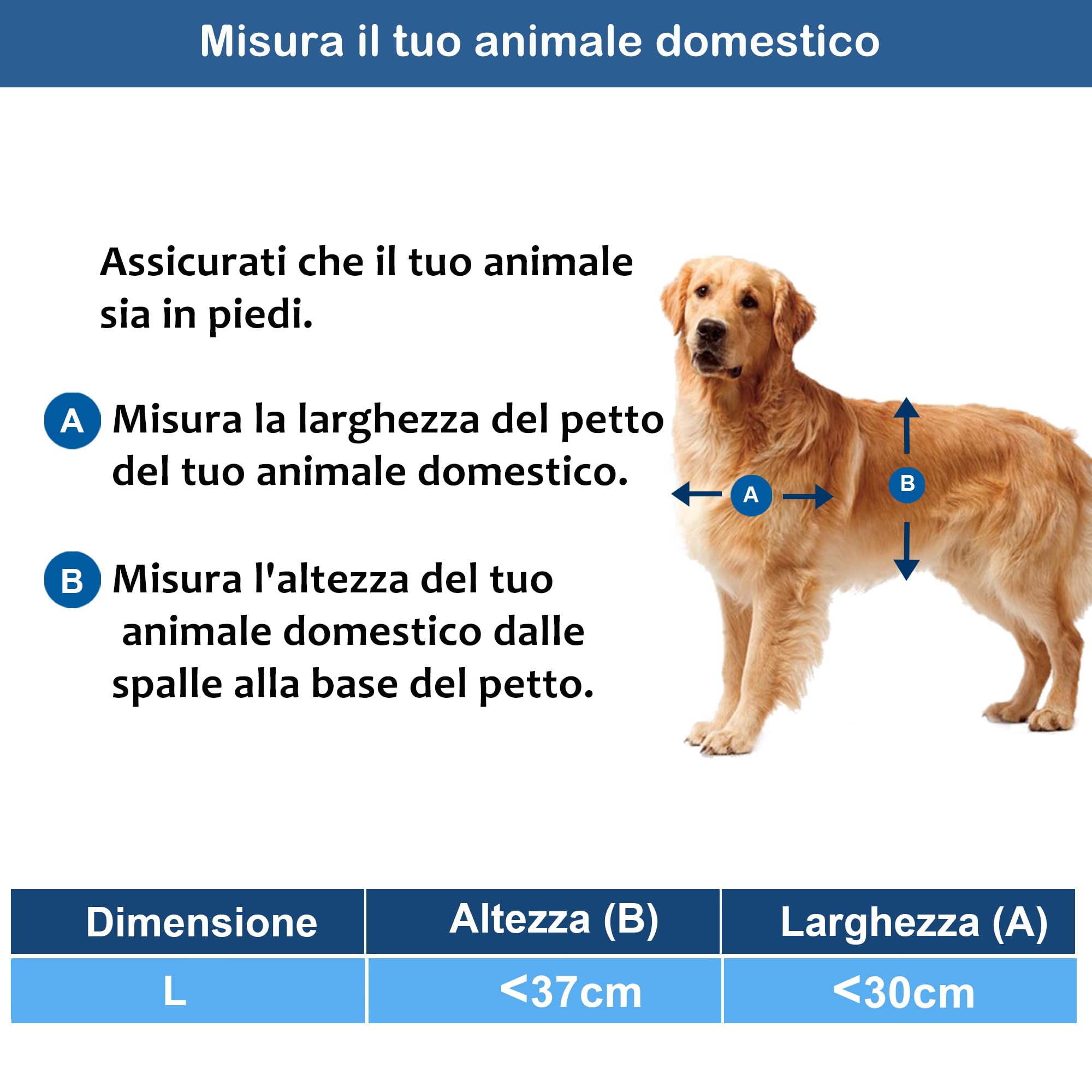 CEESC Porta per cani grande per animali domestici fino a 45 kg, resistente alle intemperie per cani e gatti, pannello di chiusura a scatto incluso, adatto per porte o pareti interne ed esterne, grande