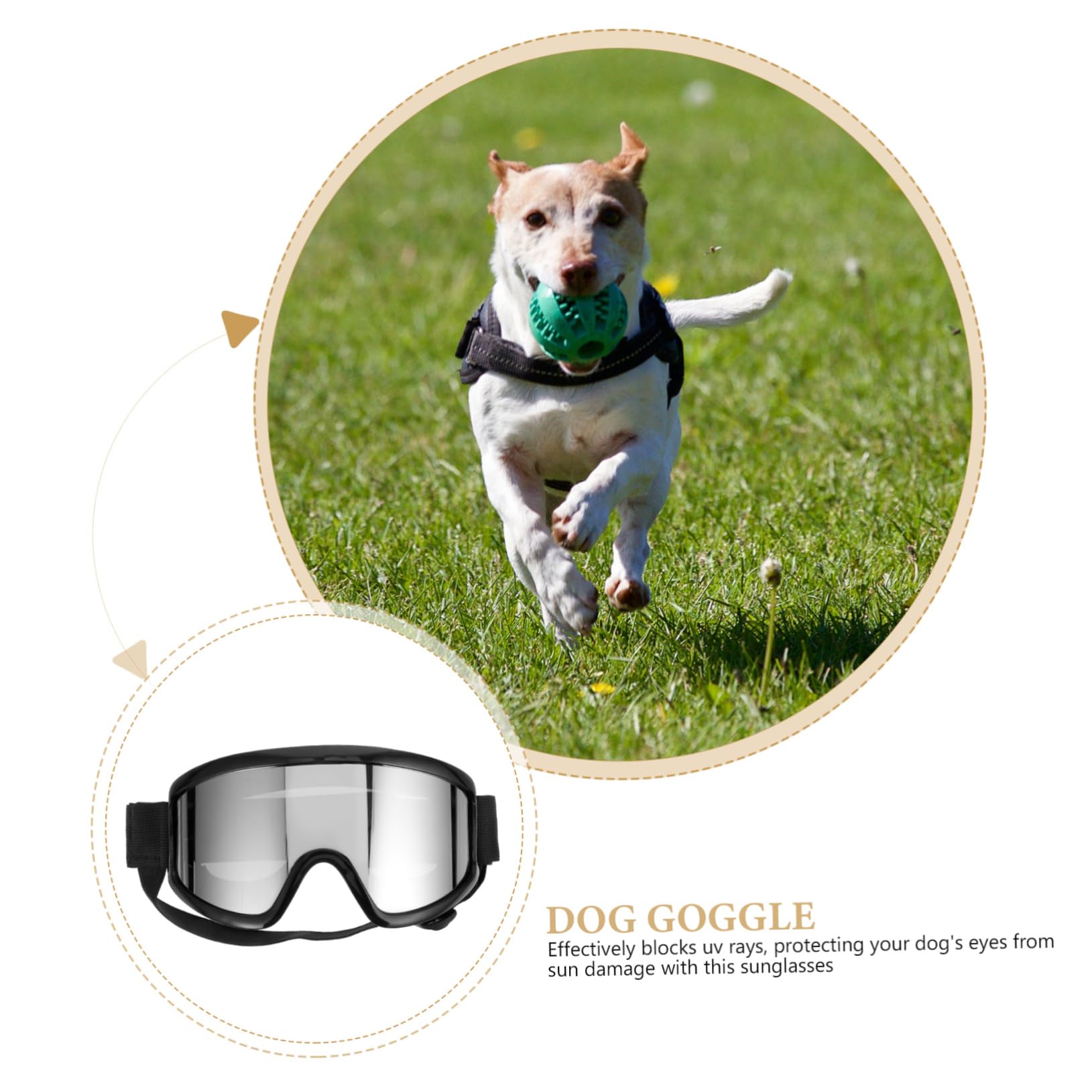 INOOMP 4 Occhiali Da Sole Antivento Uv Per Cani Di Piccola Taglia