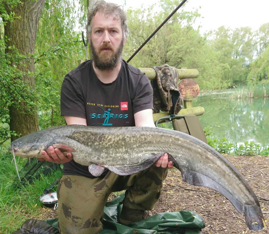 Buy searigs PREDATOR MACKEREL & BLUEY WINTERIZED BAIT ATTRACTOR FOR DEADBAITING PIKE