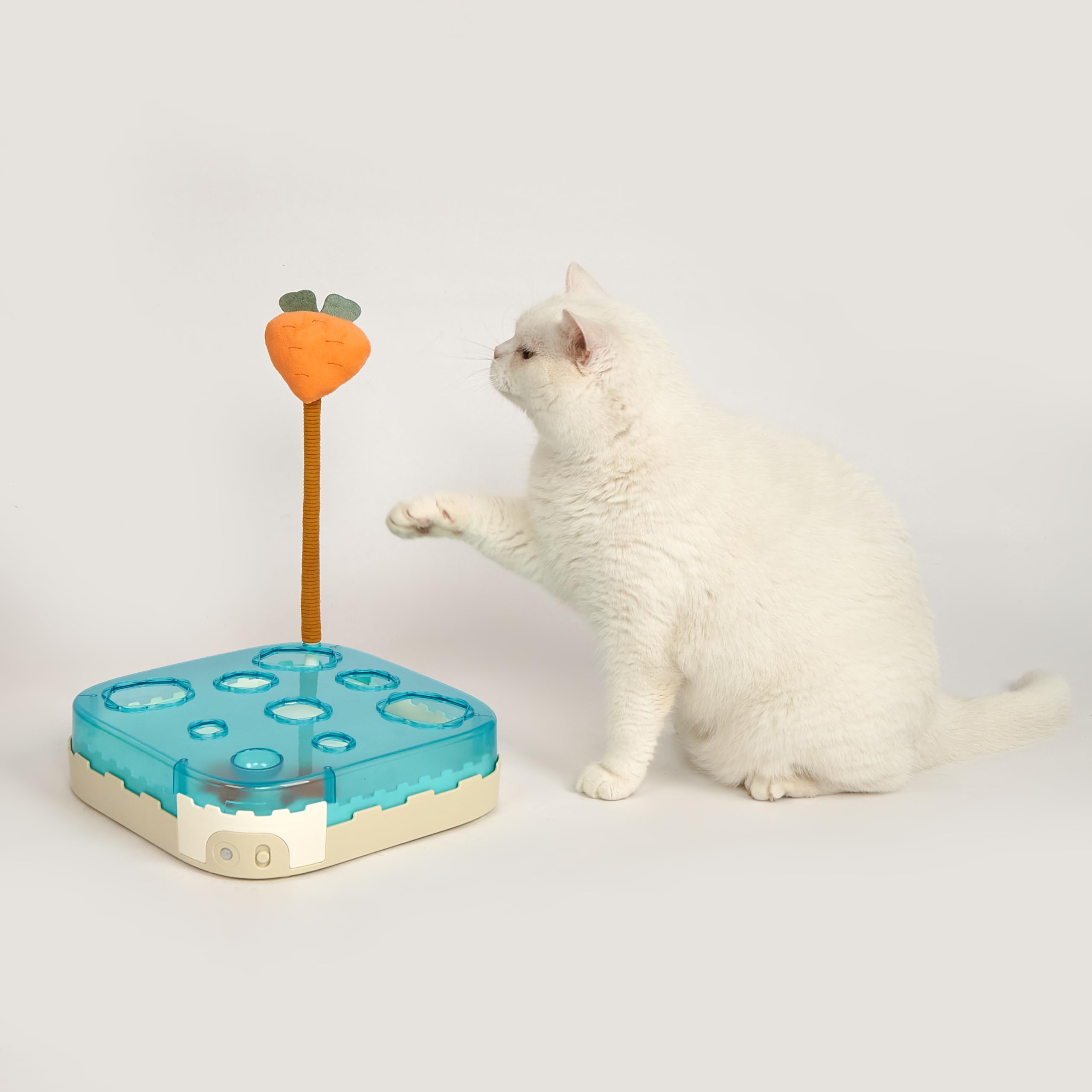 FOFOS | Juguete Interactivo | Tablero con Zanahoria y Bolas | Com Catnip - para Gatos