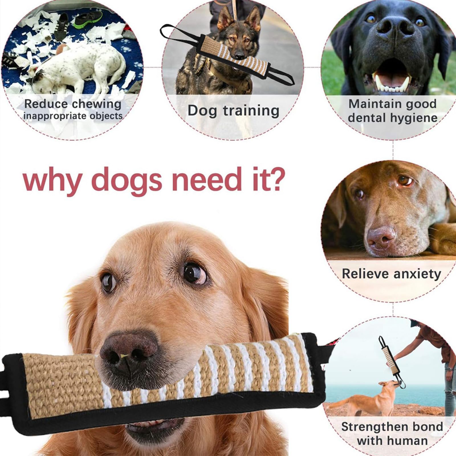 Set De Adiestramiento Para Mordeduras De Perro Manga Mordedora Para Perros Juguete Para Perros Palo De Adiestramiento Para Perros Equipo De Adiestramiento Profesional Para Adiestrar, Morder, Inter