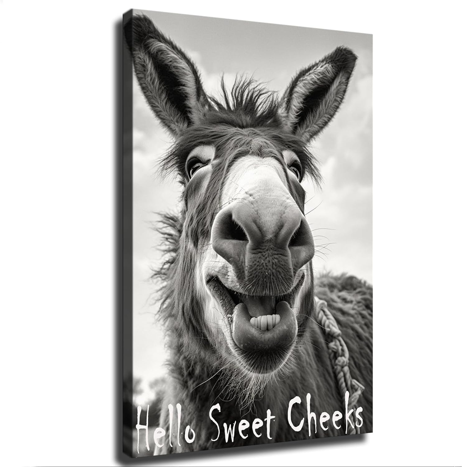 Amazon.com: VesFy Funny Donkey-Hello Sweet Cheeks-Donkey Poster ...