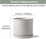 5.8 Inch Plant Pots: Ceramic Planter with Drainage Hole & Saucer - Flowerpot for Indoor & Outdoor Plants - Beaded Embossed Design White - with Separate Tray | Indoor/Outdoor Planter with Tray - Beaded Embossed Flowerpot for Home & Office - White