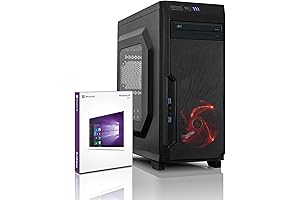 Microsoft Office 2010 Professional: Empower Your Business with Productivity Suite