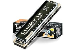 East top Blues Harmonica: Musicians' Companion for Soulful Melodies