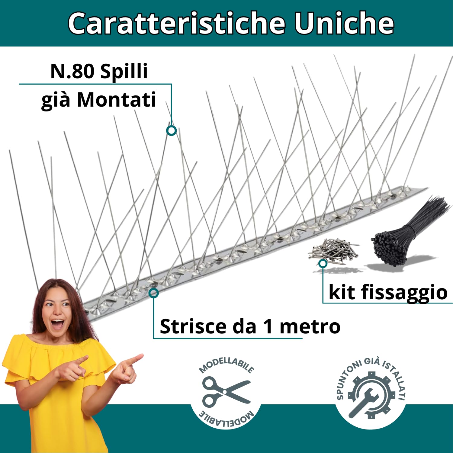 Falena® Dissuasori per Piccioni Scaccia Volatili Roditori da Esterno in Acciaio Inox con 80 Spuntoni già montati Varie Misure (10MT)