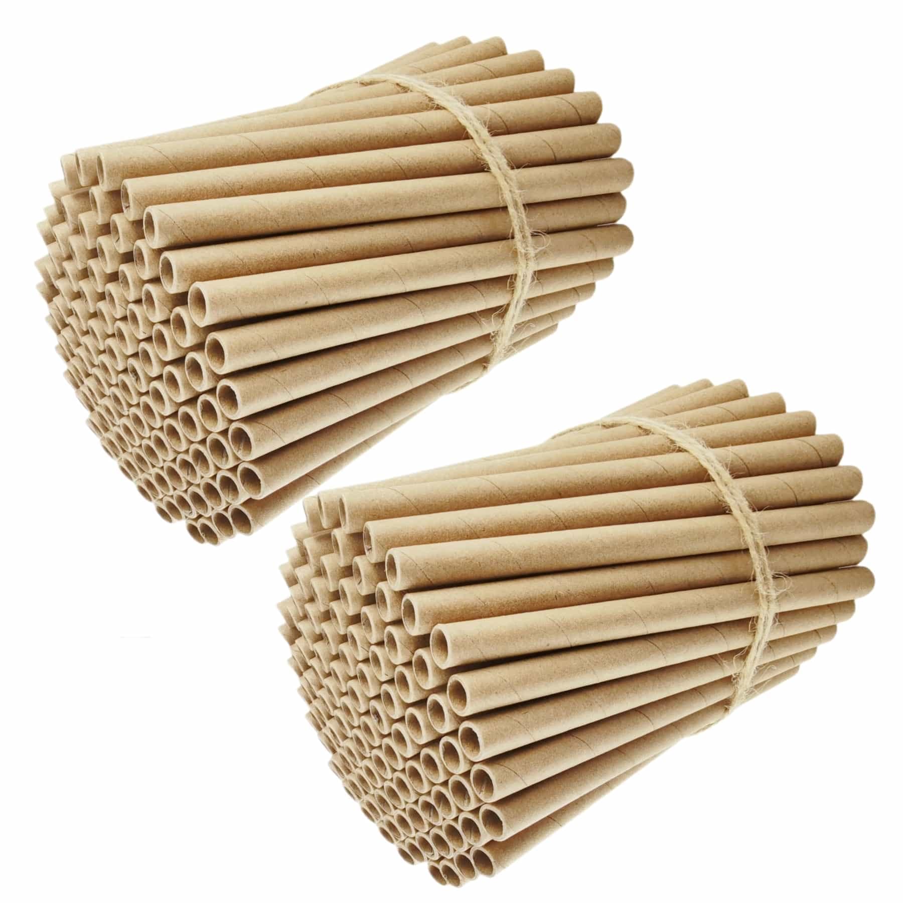 Lot de 200 tubes de nidification en carton pour insectes, excellentes recharges de papier ou inserts/doublures pour créer votre propre maison d'abeilles