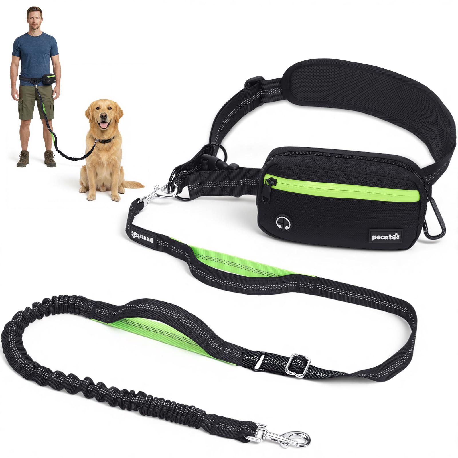 pecute Joggingleine Hunde Mit Breiter Bauchgurt