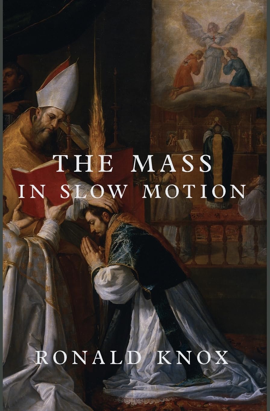 Buy The Mass in Slow Motion Book Online at Low Prices in India | The ...
