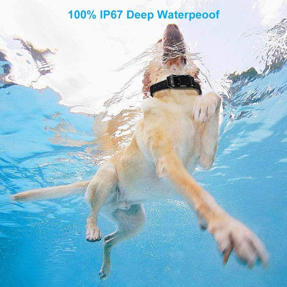 Dog Training Collar Vibration and Beeper Training Command 300 Meters