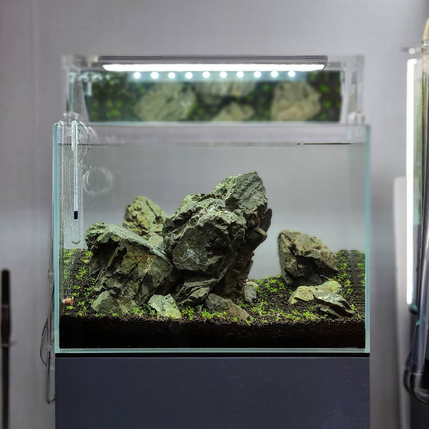 SubstrateSource Natural Stone for Aquarium, Terrarium, Paludarium, Reptile Enclosures - Set of Decorative Rocks for Landcapes, Aquascaping, Fish Tank Decor (Manten Stone, 10 Pounds, 2-6")