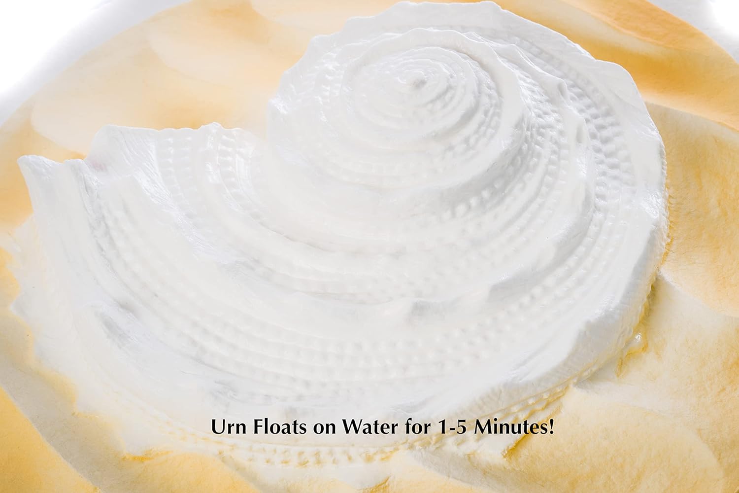 Biodegradable Urn for Scattering Cremated Ashes in Ocean Water, Ground or Sea Burial, Earth Friendly Eco Ashes (Oceanside Shell White Biodegradable Urn) W-304 - Image 3