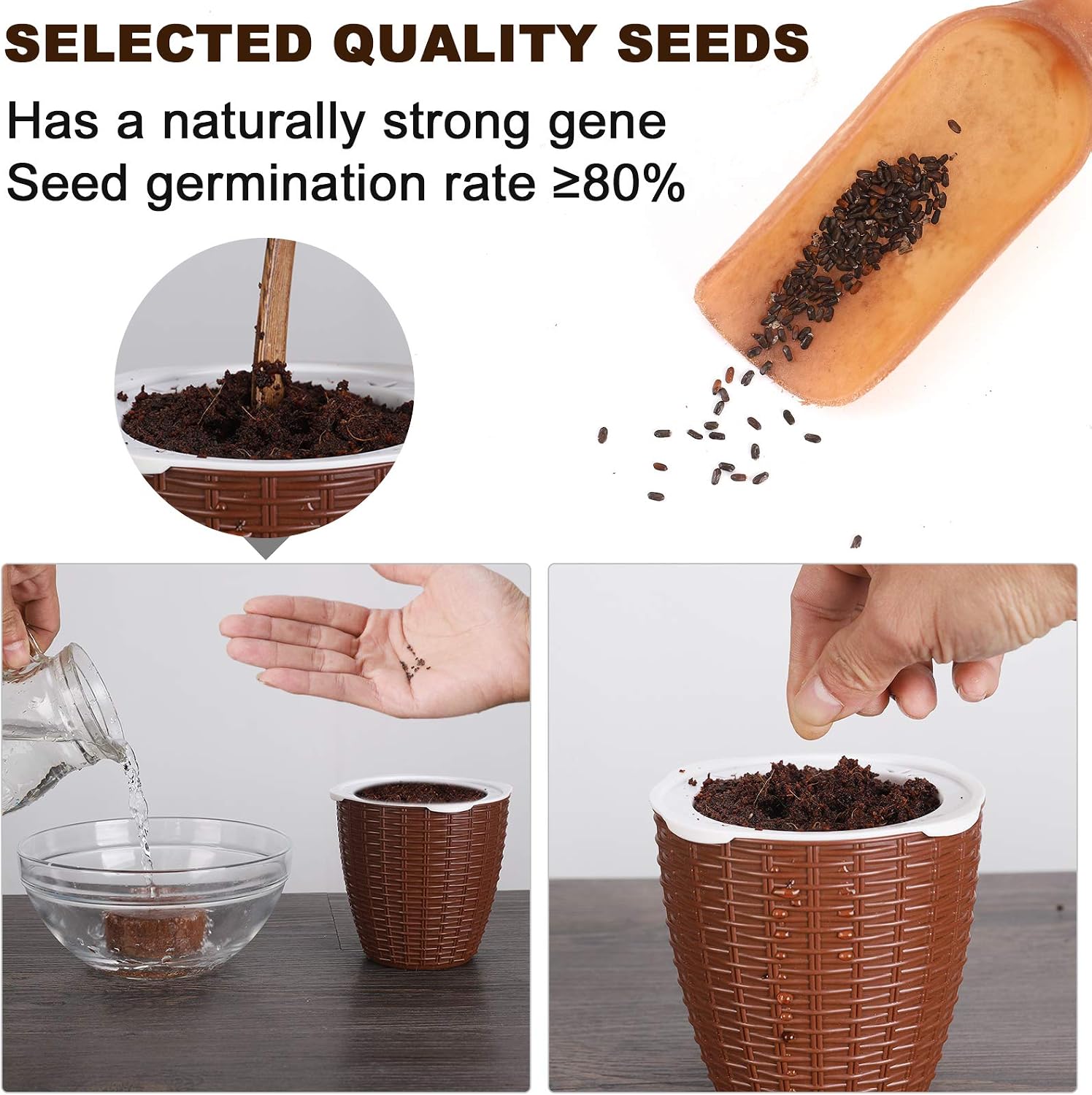 Dooreemee Lavender Plant,DIY Mini Lazy Flower Pot, Automatic Water Absorption Funny Potted Plant with high Grade for Cultivating Kid's Planting Hobbies and Decorating Home & Office