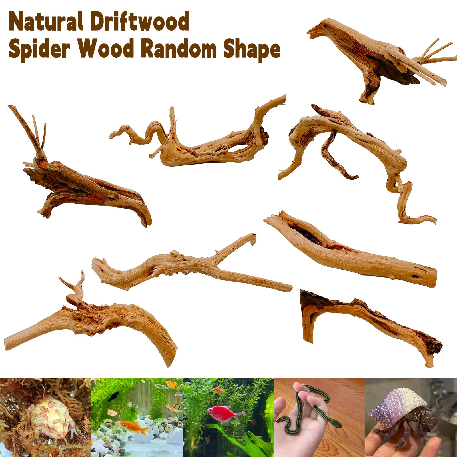 3 pz acquario habitat Driftwood branches Tropical Fish Tank Decor varia misura piccola, （ Fish Tank & Spider & Reptile ）
