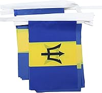 Vista 15 de Guatemala 19.7 ft BUNTING Flag 20 banderas 9'' x 6'' - Banderas de cuerda guatemalteca 5.9 x 8.3 in - AZ FLAG