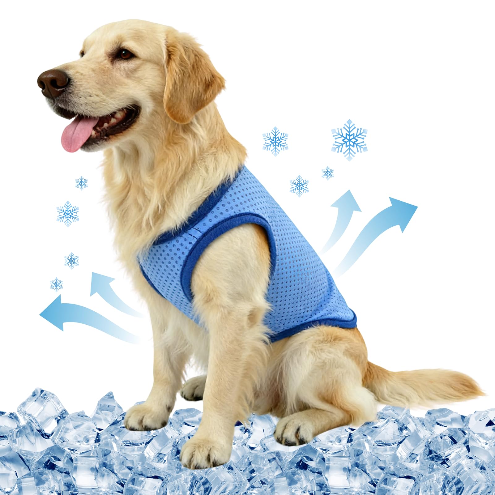 Veste de Refroidissement pour Chien Respirante été, Gilet Rafraichissant Chien, Style sans Manches Frais et Confortable, Manteau Rafraichissant pour Chien, Accessoires Généraux (XL)