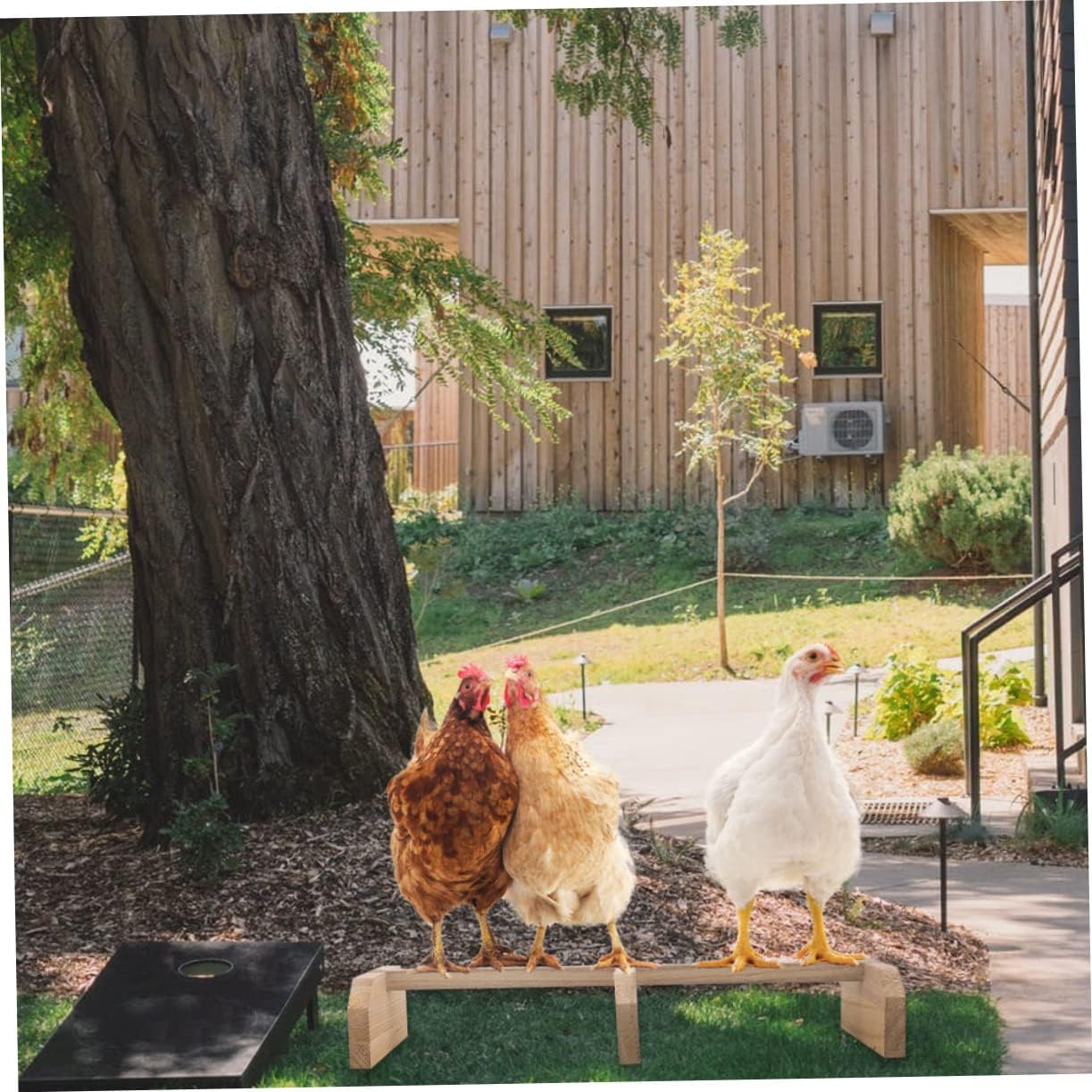 Wooden Bird Stand Perch for Parrot, Single Rack for Leg Exercise image 3