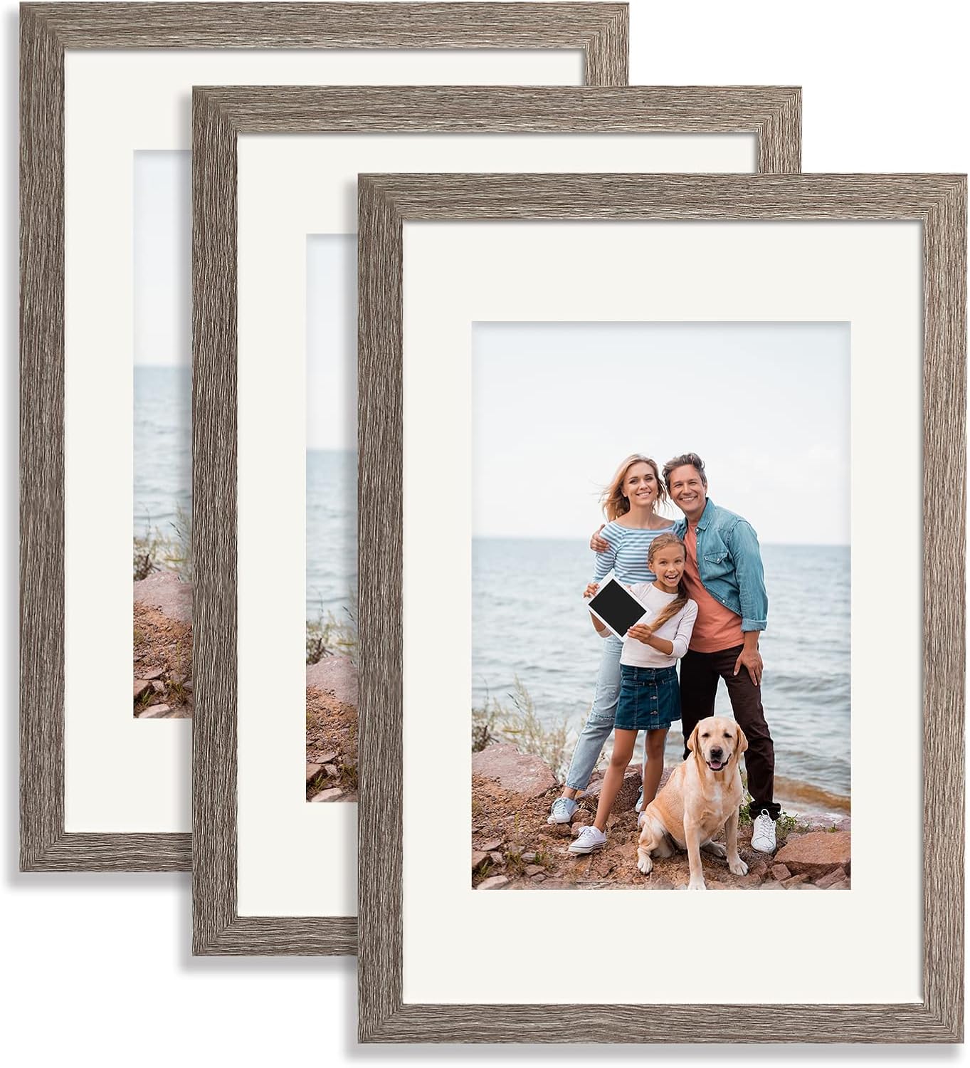 12x16 Picture Frame 3 Pack Gray Color - Poster Frame Set of 3 - Display Picture 8.5x11 with Mat or 12x16 Without Mat, Wall Gallery Photo Frames 12x16Inchx3pcs Gray