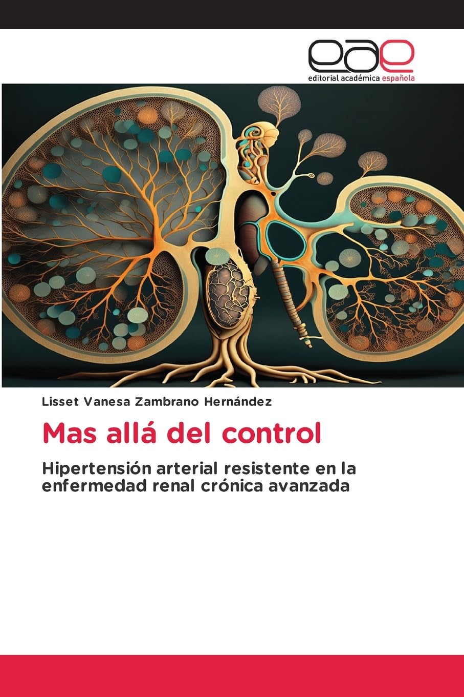Mas allá del control: Hipertensión arterial resistente en la enfermedad renal crónica avanzada