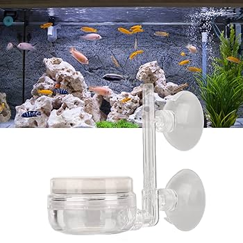 4053 エアストーン ディフューザー バブルエアストーン 水槽 2個 Amazon | アクアリウムエアストーン 水槽エアーストーン バブル