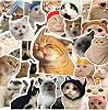 100Li Çılgın Kedi Sticker Set Laptop Notebook Tablet Sticker Seti