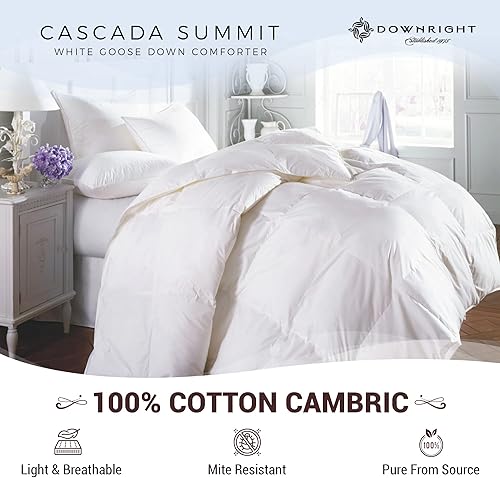 Miniatura 3 de Downright Cascada Summit - Edredón de plumón de ganso blanco de lujo, 600 potencia de relleno, 100% algodón de 300 hilos, peso de invierno de 94
