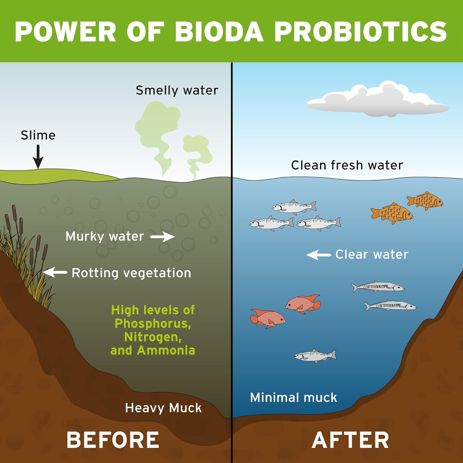 Bioda Pond Clarifier & Muck Cleaner, Keeps Ponds Clear, Treats 1/4 Acre - 6 Months, 12 Packets
