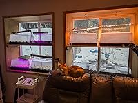 Review Image by Carrie