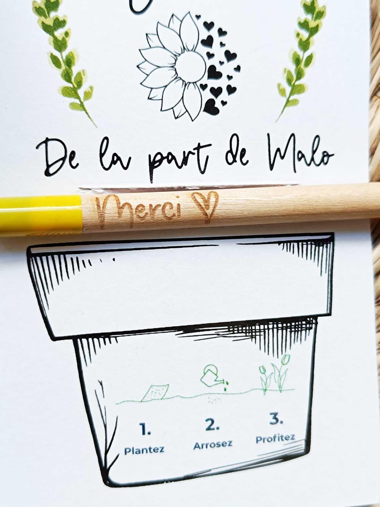 Crayon à planter Merci Tournesol Lavande Coquelicot Cadeau Maîtresse Atsem Nounou