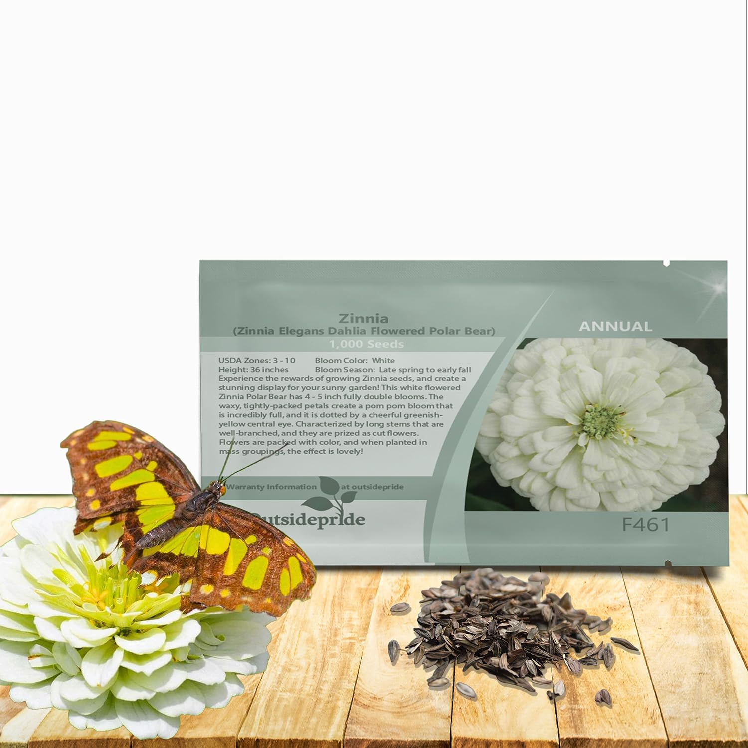 Amazon.com : Outsidepride Dahlia Flowered Polar Bear Zinnia Seeds