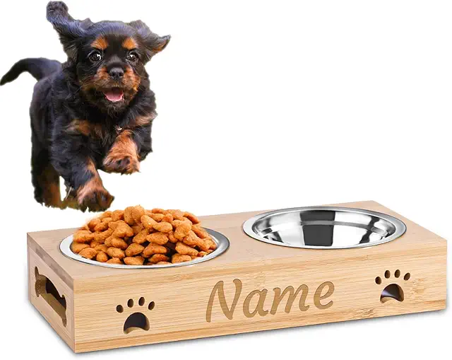 Gamelle Personnalisé pour Chien et Chat - Station d'Alimentation avec Nom