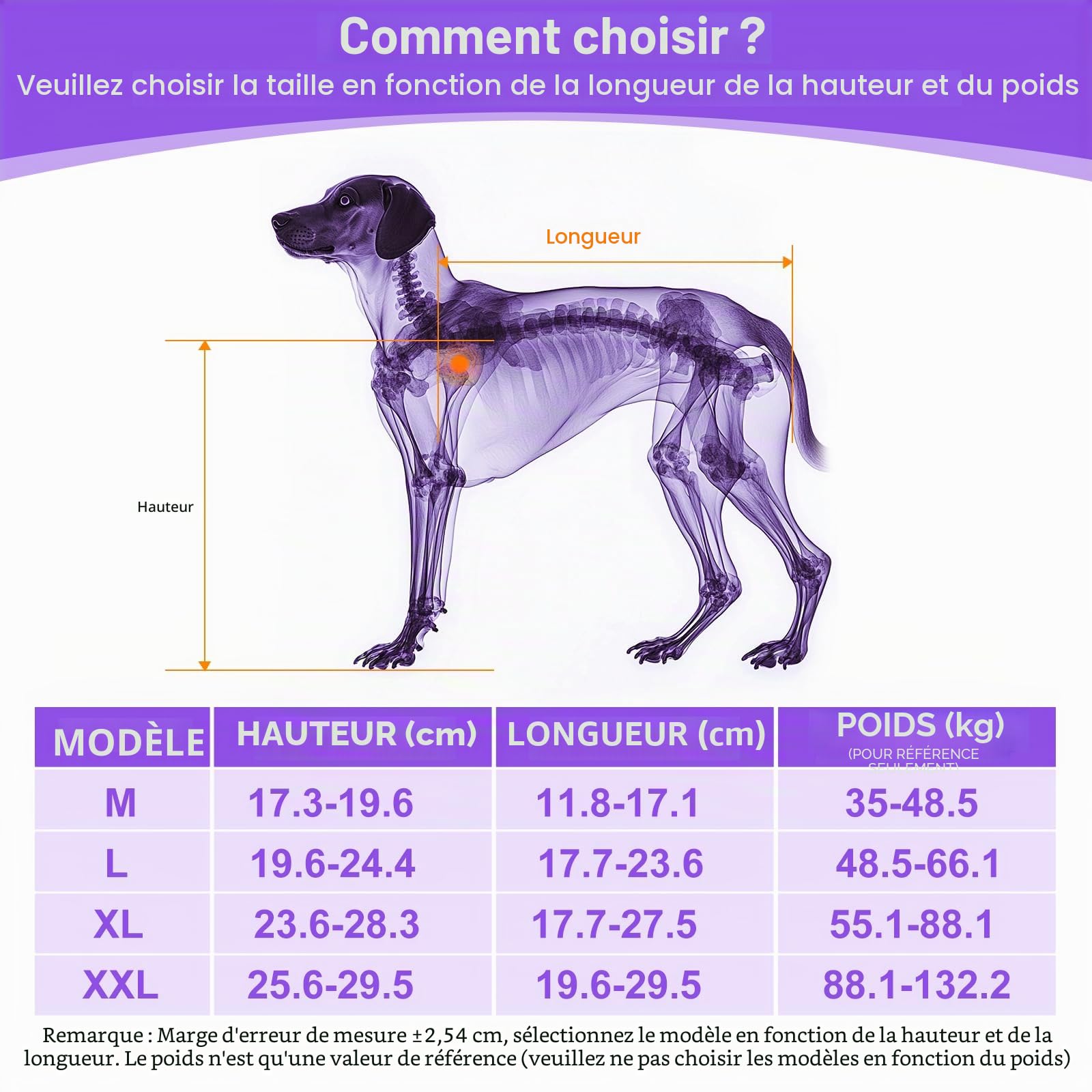Fauteuil roulant pour chien pour pattes arrière - Fauteuil roulant pour chien