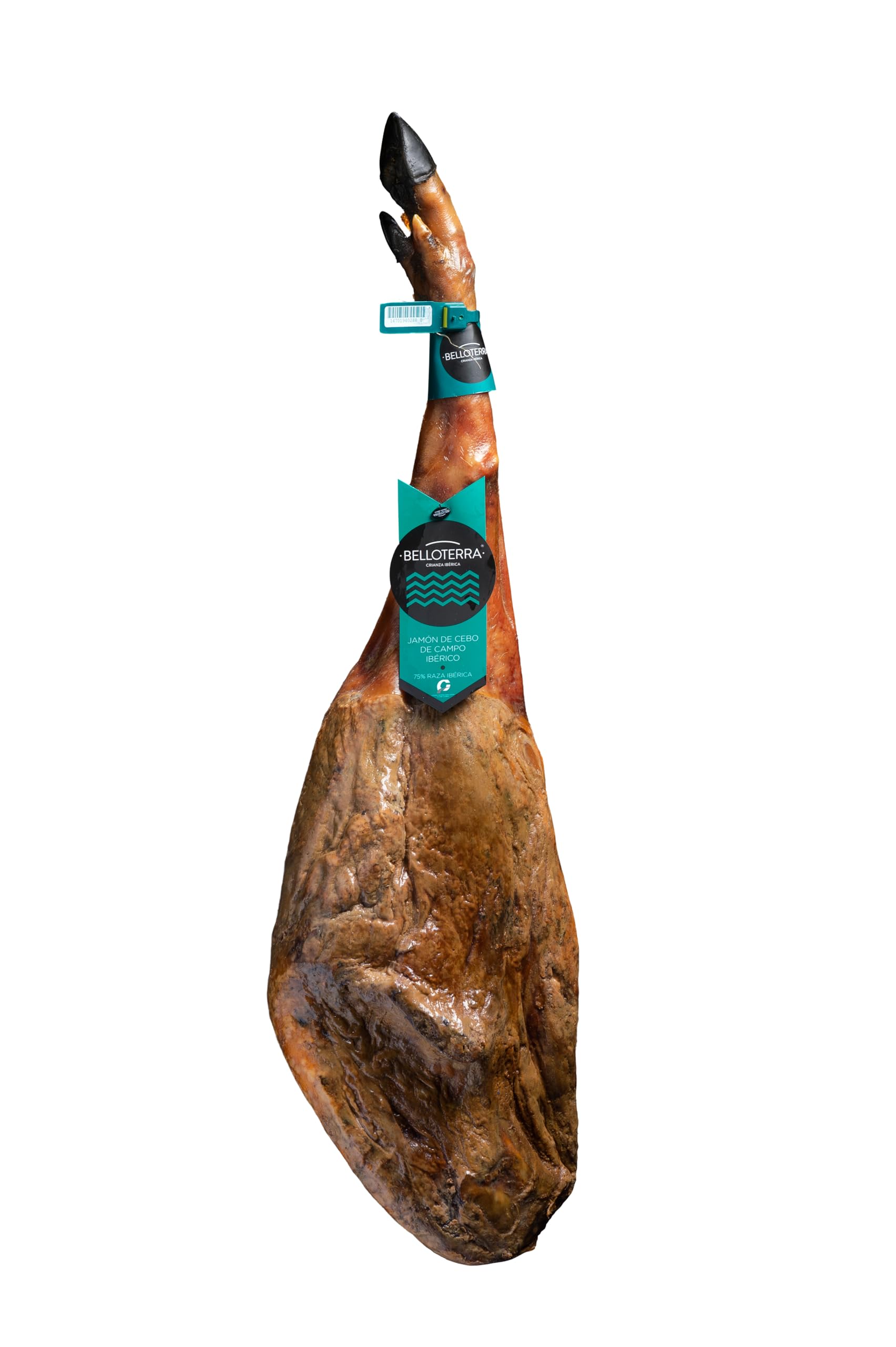 BELLOTERRA | Jamón de Cebo de Campo 50% Ibérico | 8,5-9 kg | Curación 24-30 Meses | Raza Ibérica en Régimen de Campo | Sabor Tradicional y Aroma Equilibrado