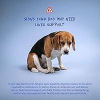 Vista 4 de Cardo mariano para perros – 120 tabletas masticables – Silimarina – Apoyo hepático y renal con EPA y DHA – Desintoxicación – Suplemento hepático