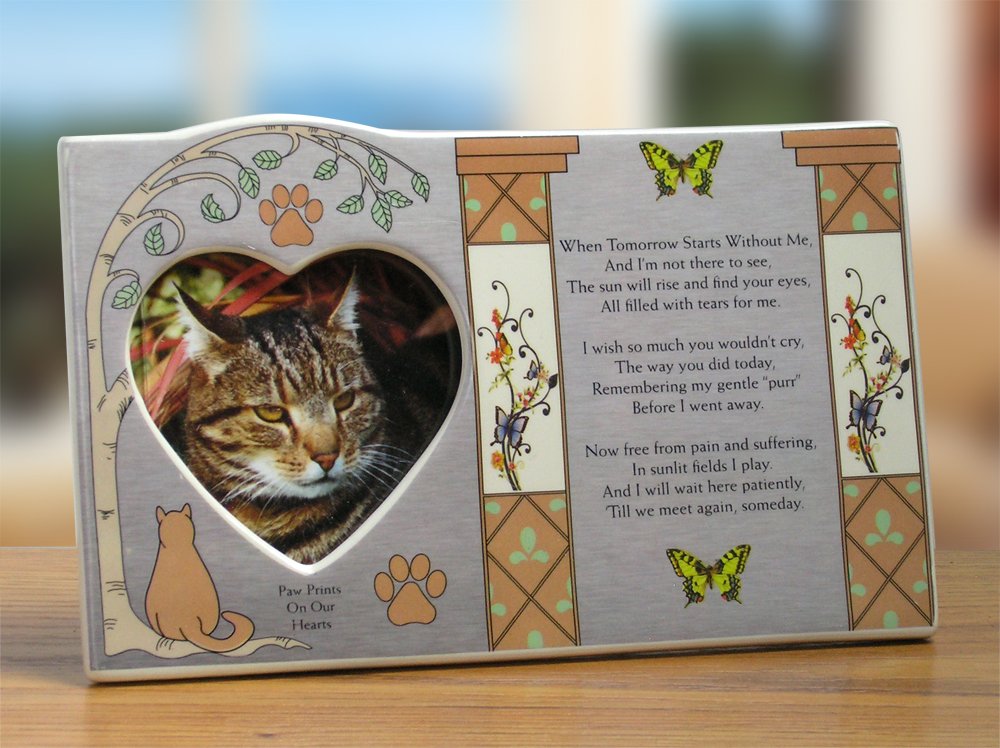 Buy BANBERRY DESIGNS Cat Memorial Picture Frame When Tomorrow Starts