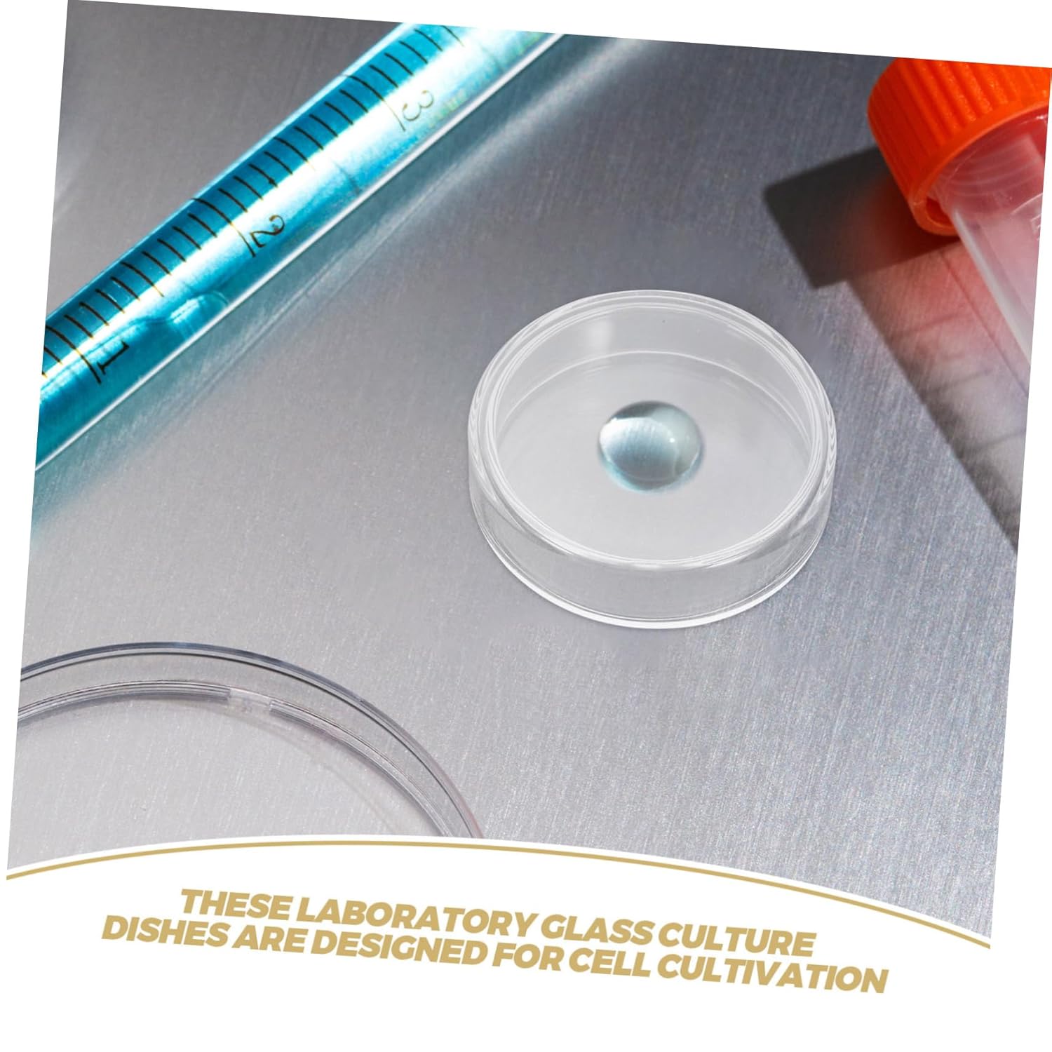 10pcs Lab Glass Petri Dishes Reusable Culture Plates Microbiology Instrument Science Educational Tool