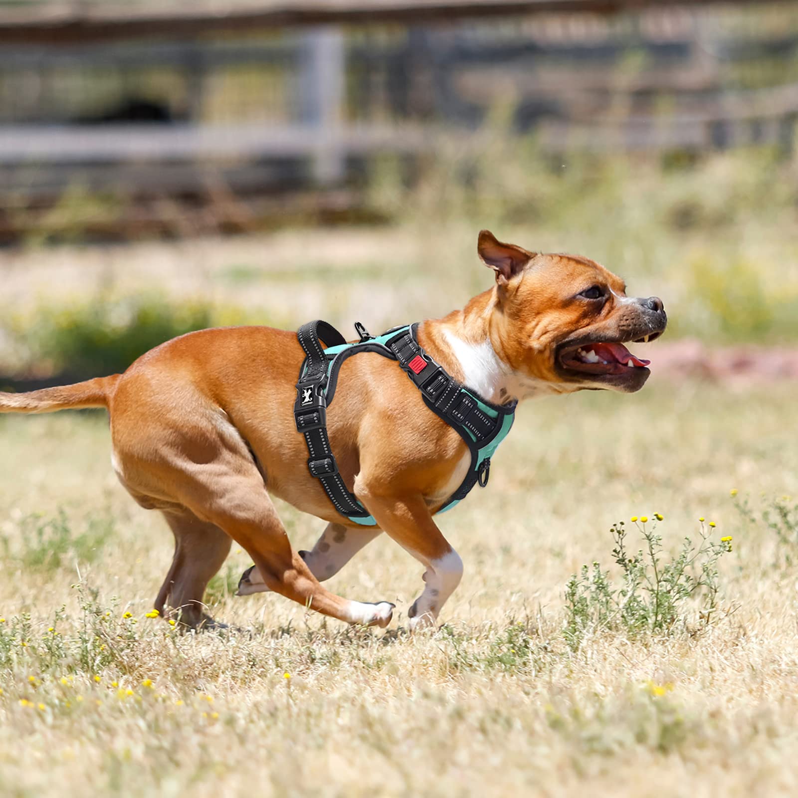 PoyPet No Pull Dog Harness with Neck Release Buckle, Reflective No-Choke Harness with 2 Leash Clip - Image 2