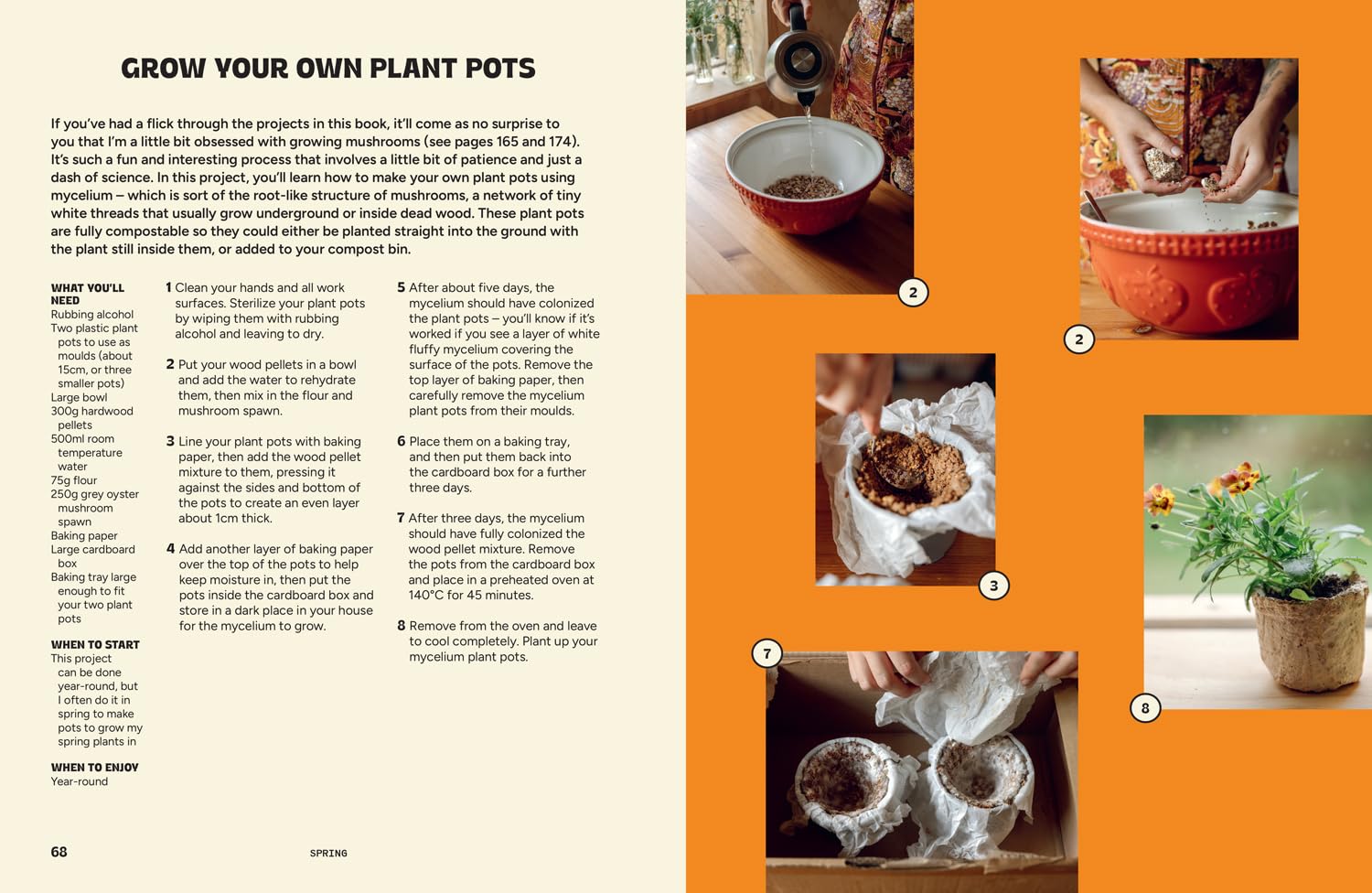 Dopamine Gardening: 52 Joyful Outdoor Projects for Every Season and Any Space