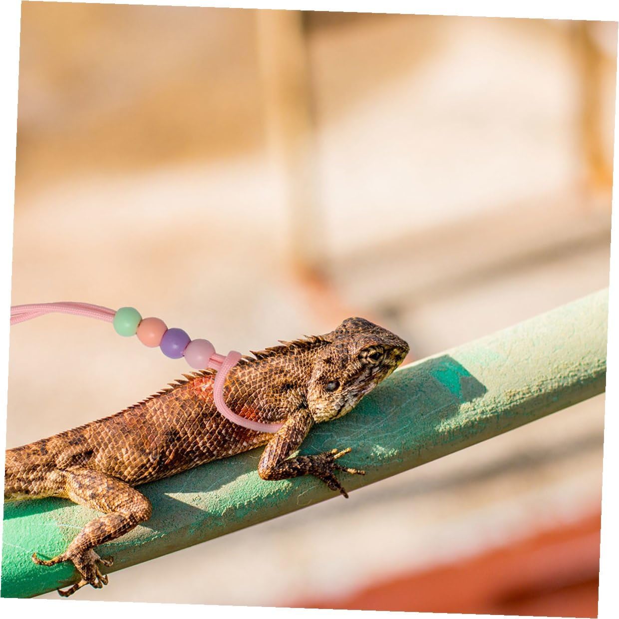 BESTYASH 3pcs Adjustable Lizard Harness Set for Reptiles, Glow-in-the-Dark Bearded Dragon Leash with Traction Rope for Outdoor Walking and Travel, Small Pet Gecko Harness in Pink