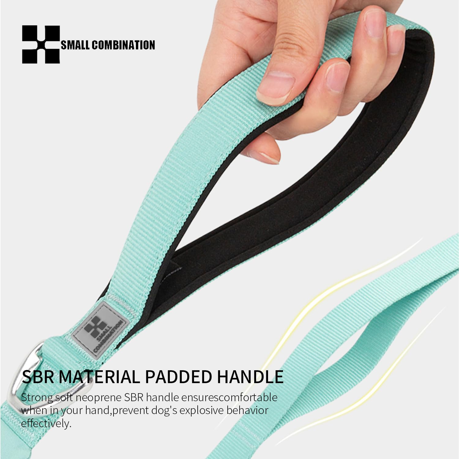 SMALL COMBINATION Dog Leash, with Metal Clip (Aqua Green, L) - Image 3